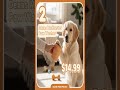 Products Every Dog Owner Discovers Too Late #shorts #amazonfinds #goldenhomeproject