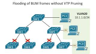 VTP Versions 1, 2, 3 Explained ,Revision Number & Pruning | VLAN Trunking Protocol Deep Dive