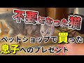 ペットショップで買った息子へのプレゼント（前編）：７２６