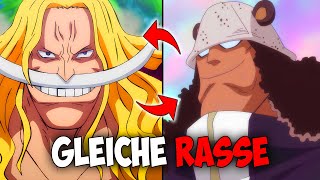 WIE IST UNS DAS NICHT AUFGEFALLEN!?  | One Piece 1096+