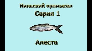 Русская Рыбалка 3.99 (Russian Fishing) Нильский промысел 1 - Алеста