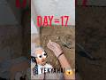 Day || 17 Spoon Se Gadda Khoda… Aur Mila BLADE 😱🥄