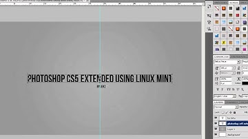 Photoshop CS5  using Linux Mint 11