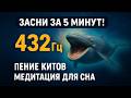 ПЕНИЕ КИТОВ на частоте 432 ГЦ: успокаивающая медитация и глубокое расслабление