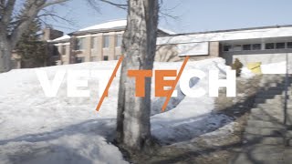 Veterinary Technician - Veterinary Sciences | Northern College