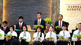 回來罷 TJC大溪教會青年詩班