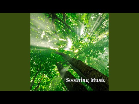Sleduj 바흐 : 아리오소 (빗소리) na YouTube