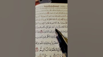 سورة العنكبوت القاريء اسلام صبحي