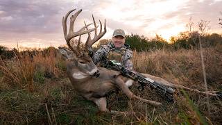 191" KANSAS GIANT | NEW MATHEWS ARC