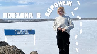 Поездка в Воронеж на ДР