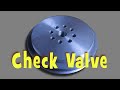 Check valve for the air oil filter