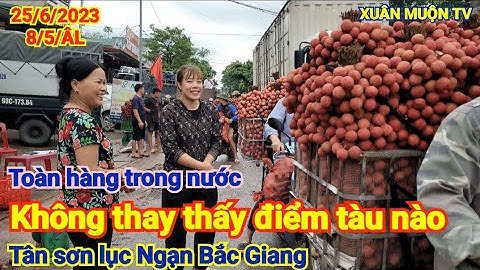 giá vải hôm nay 25/6/2023 tại tân sơn lục Ngạn bg giá dao động từ 8k đến 14k /1kg