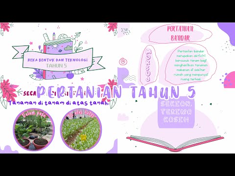 Video: Tulip: Kumpulan Dan Jenis, Asas Teknologi Pertanian