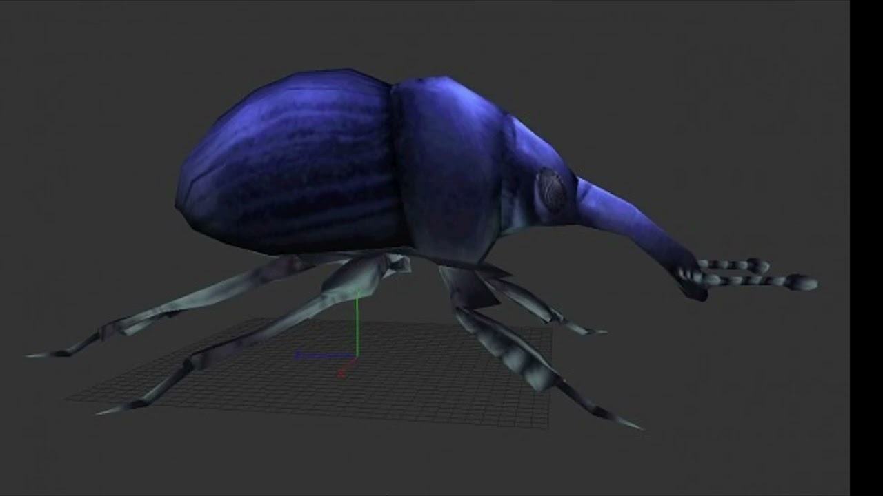 Mandibles profile Euparius