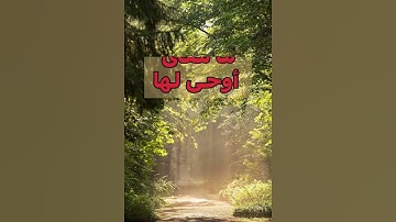 الزلزلة | كلمات القرآن الكريم ٣٥