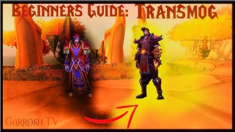 Beginners Guide: Transmog for Dummies