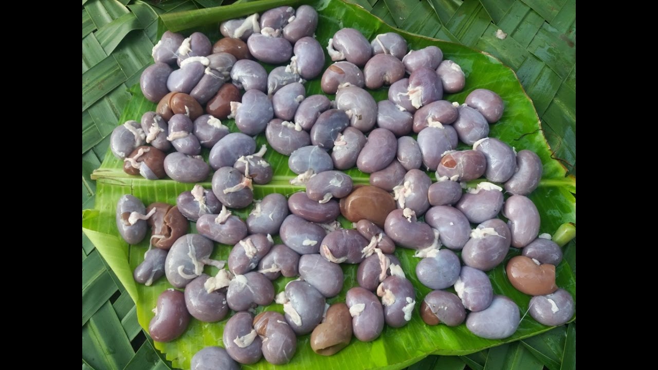 Goat Kidneys (100 Nos) Gravy Cooking In My Village My Village Food