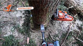 Felling extreme back-leaners using machinery
