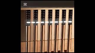 Orkun Işıtmak Lgs 2025 Şetduası