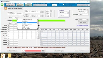 NSIP Pedigree Master Tutorial data input