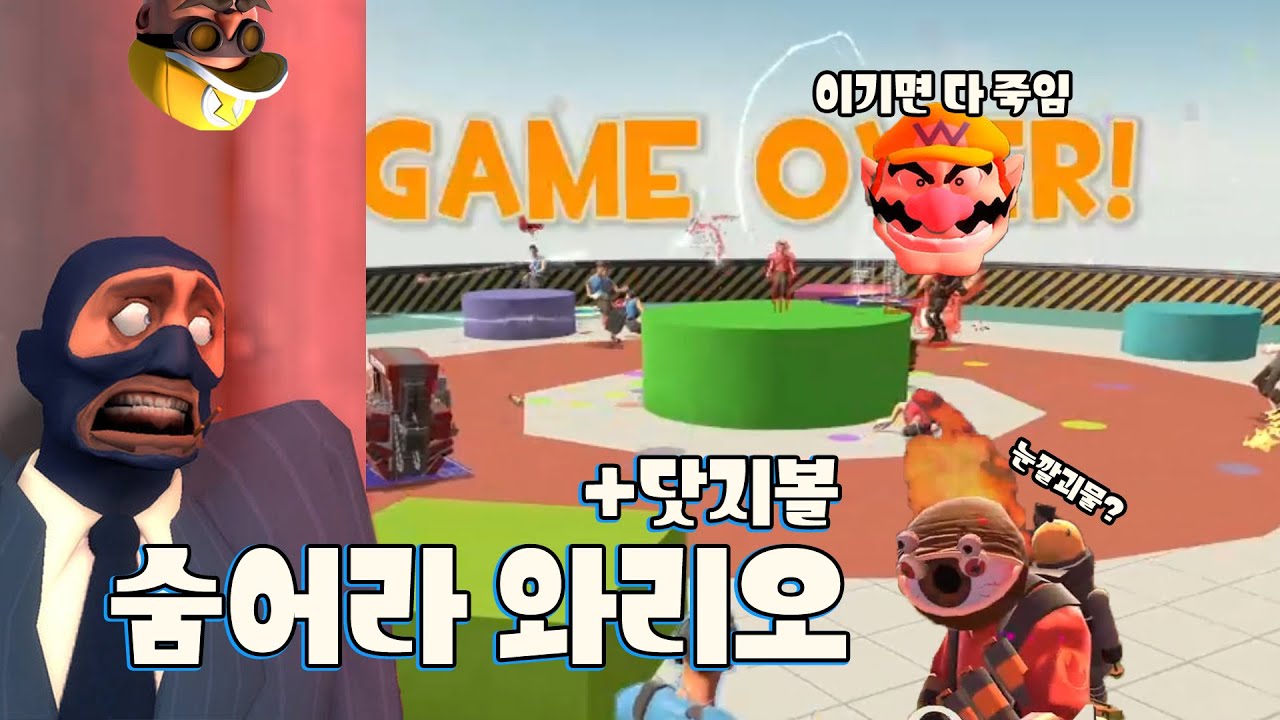 [팀포2] 팀포해라 와리오 feat.닷지볼