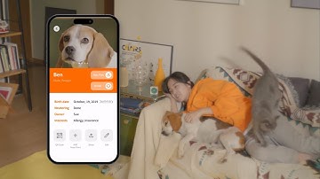 Petnow Product Video #2: Is Sue missing?