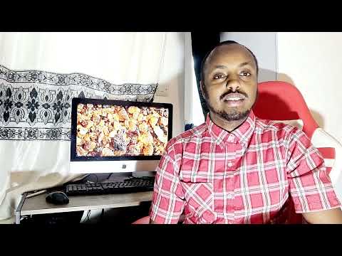 Awoodaha Malmalka Iyo Hadiga Ay Ku Dilaan Jeermiska Antimicrobial Activity