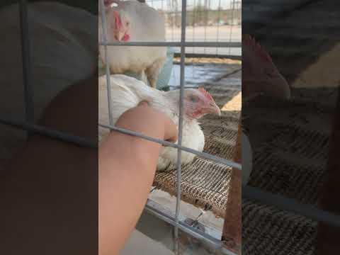 29 August 2025 29 August 2025