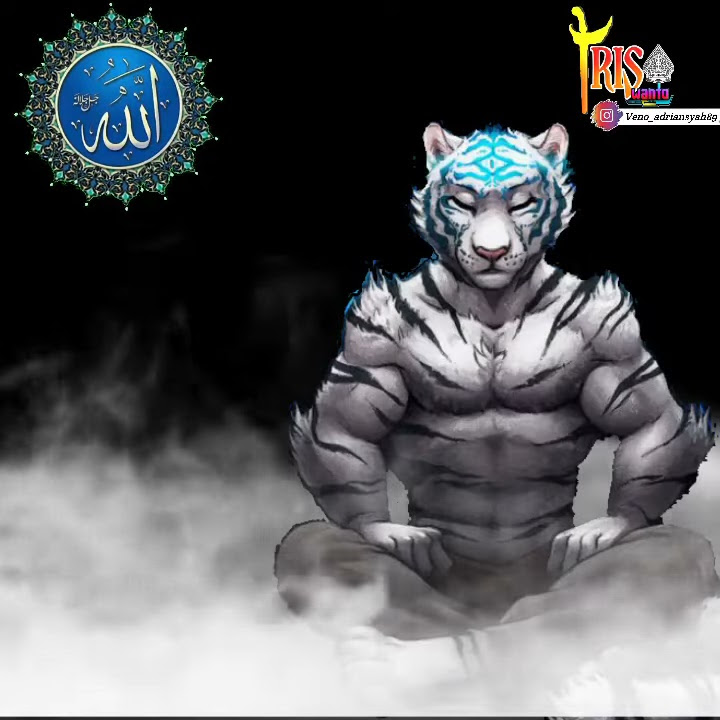 story wa pitutur jawa|| cindaku macan putih