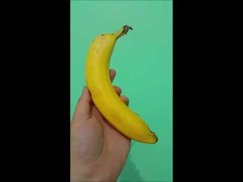 Banana Hammock Republic happy