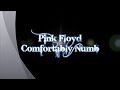 Pink Floyd-Comfortably Numb (with lyrics)