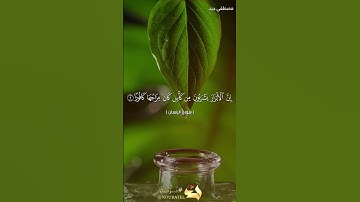 آيات بينات من سورة الإنسان للقارئ مصطفى جيد