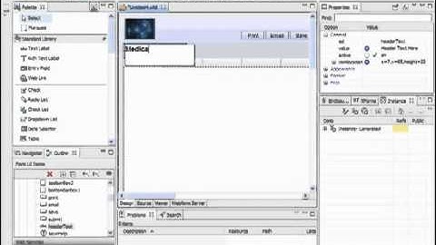 4. IBM Forms 4.0 - Design - Overview