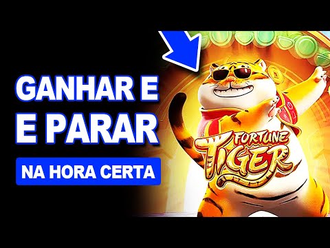 Jogue no Casino Dragonia Online: Descubra a Melhor Experiência de Cassino em Português
