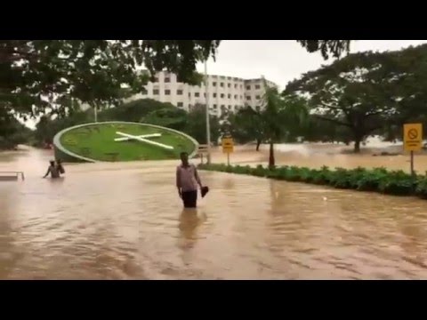 Chennai Flood | Saveetha Hospital flooded | Media Directory