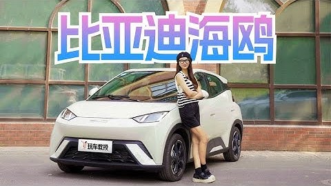 【深度试驾】8万的比亚迪海鸥：这就是你期待的电动车吗？｜从外观到内饰，从驾驶感受到电池续航，一切尽在这里！ - 天天要闻