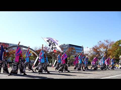 皇學館大学よさこい部"雅" @ 四日市よさこい祭り (市民公園会場) 2021-11-28T11:54