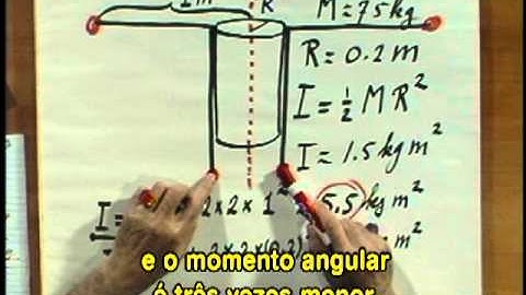 BLOSSOMS - Ice Skater