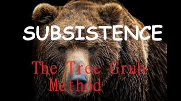 Subsistence - Killing Bear - The Tree Grub Method