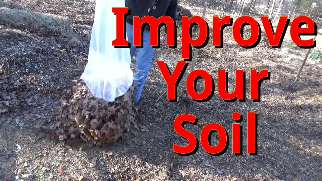 How To Improve Your Soil For Spring Planting 1-1-2024 - YouTube