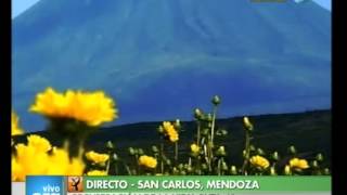 Vivo en Argentina - Mendoza - San Carlos - Ruta 40 - 01-11-12