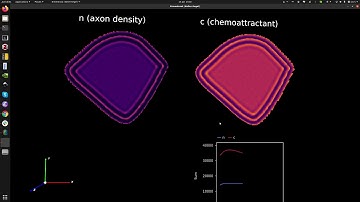 A demo of morphologica
