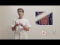 PROTOCOLO DE LAS 4 R - Gheos Natural