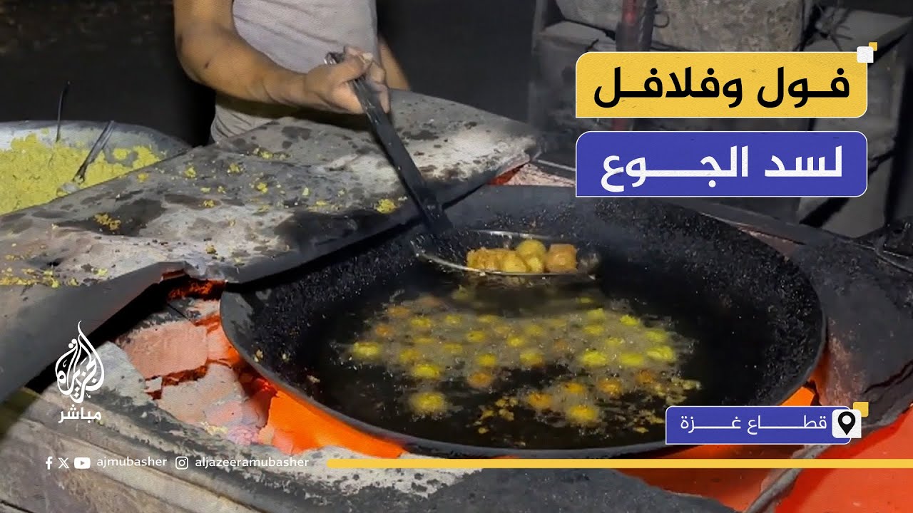 بدون خبز.. فول وفلافل أقل جودة وأغلى سعرا في غزة
