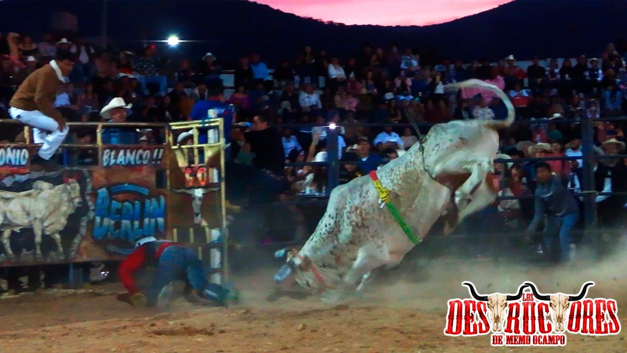 11 DESTRUCTORES DE MEMO OCAMPO!! JARIPEO EN SAN NICOLAS OBISPO MICHOACAN 2026