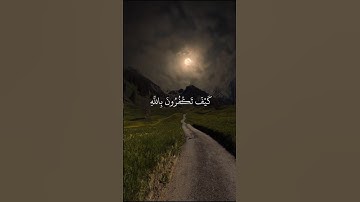 تلاوة عذبة ومؤثرة من القرآن الكريم | اكتب شيء تؤجر عليه