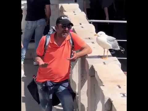 A minha saúde mental tá boa obrigada