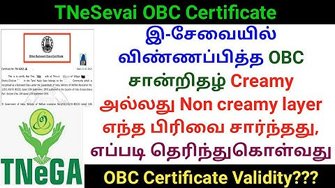 How to know TNeSevai OBC certificate is Creamy layer or Non creamy layer | Gen Infopedia