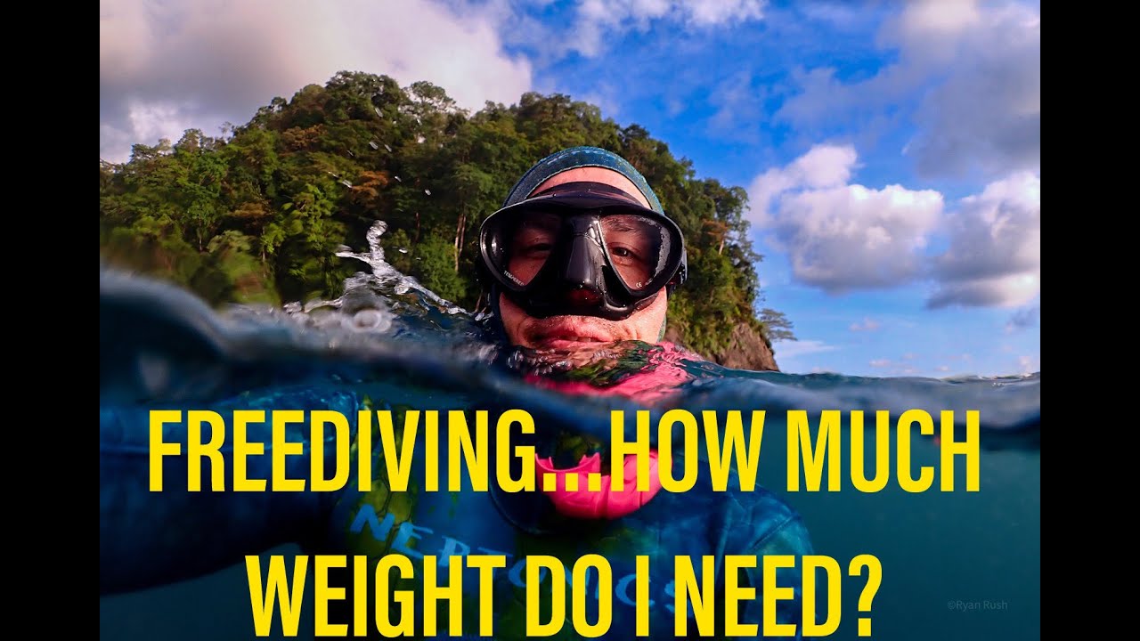 Proper Weighting for Freediving How to Ensure a Safe and Enjoyable