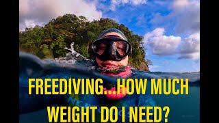 Proper Weighting for Freediving: How to Ensure a Safe and Enjoyable Dive